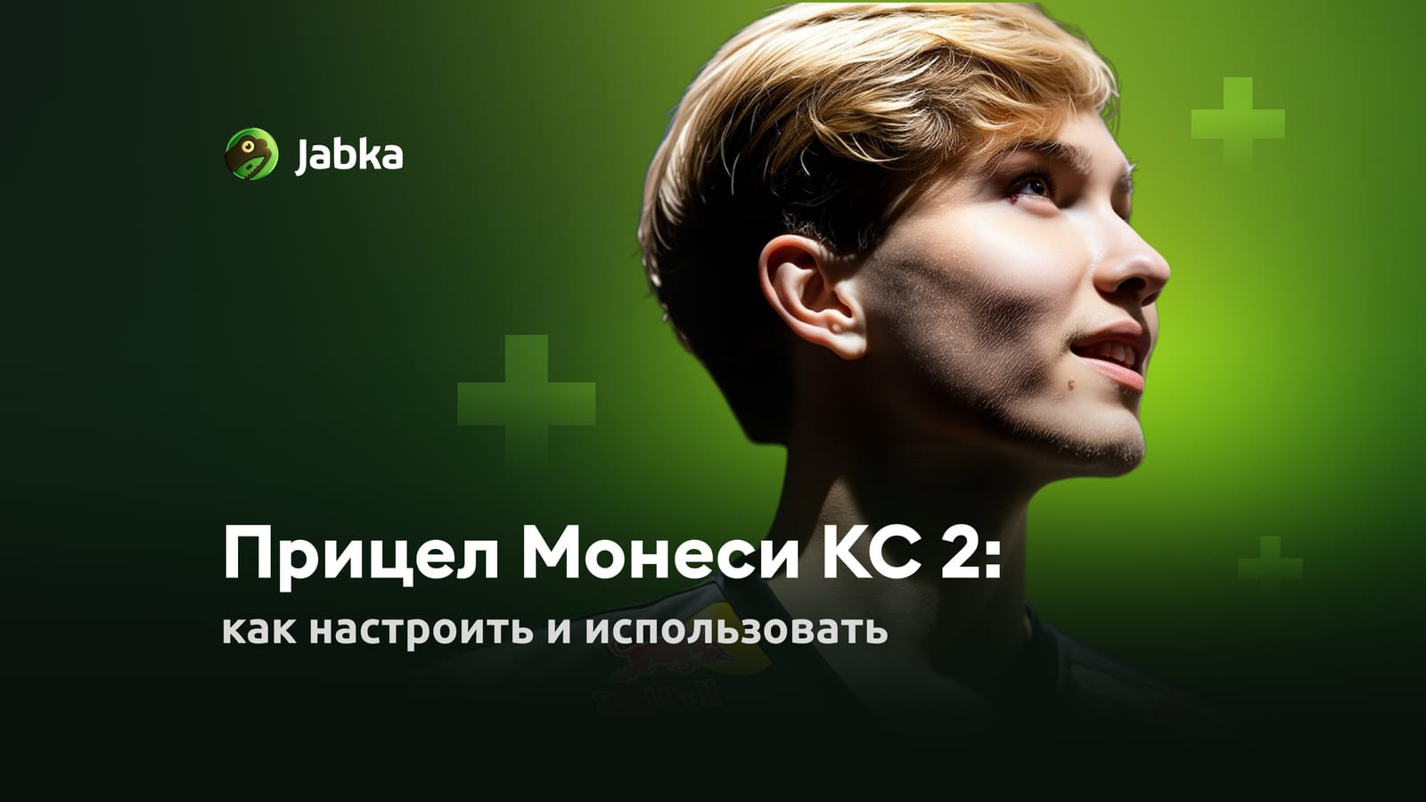 Прицел Монеси КС 2: как настроить и использовать