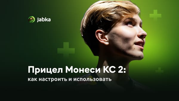 Прицел Монеси КС 2: как настроить и использовать