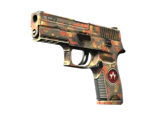 P250 | Red Rock (Minimal Wear)