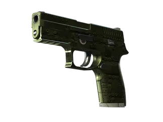 StatTrak™ P250 | Iron Clad (Field-Tested)