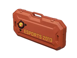 eSports 2013 Case