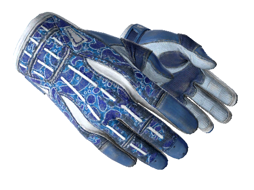 ★ Sport Gloves | Amphibious (Well-Worn)