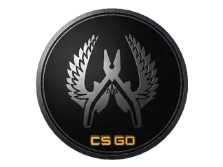 Guardian Elite Pin