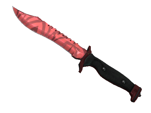 ★ Bowie Knife | Slaughter