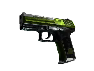 P2000 | Turf (Battle-Scarred)