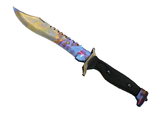 ★ Bowie Knife | Case Hardened