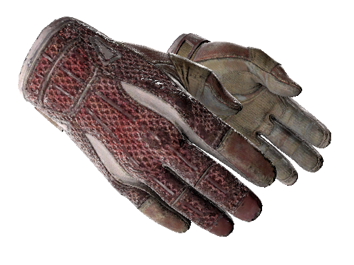 ★ Sport Gloves | Slingshot (Battle-Scarred)