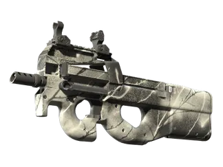 P90 | Ash Wood (Factory New)