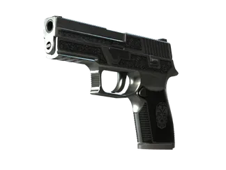 P250 | Cartel (Well-Worn)