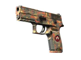 P250 | Red Rock (Well-Worn)