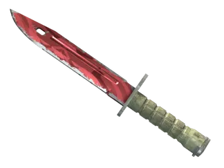 ★ Bayonet | Slaughter