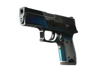 P250 | Valence (Well-Worn)