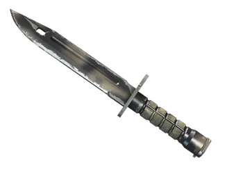 ★ Bayonet | Scorched