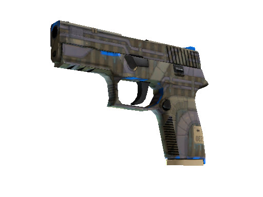 P250 | Exchanger