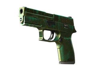 StatTrak™ P250 | Verdigris (Battle-Scarred)