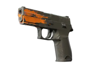 StatTrak™ P250 | Splash (Field-Tested)