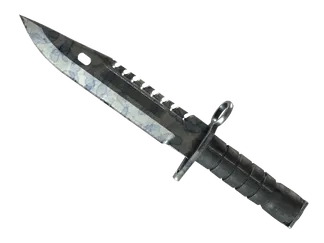 ★ M9 Bayonet | Stained (Well-Worn)