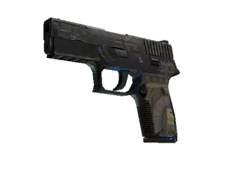 P250 | Exchanger (Battle-Scarred)