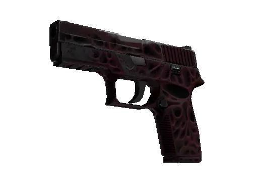 P250 | Contaminant (Well-Worn)