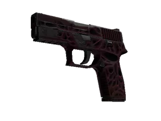 P250 | Contaminant (Well-Worn)