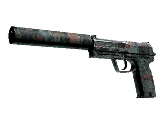 USP-S | Ancient Visions