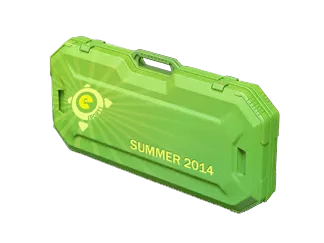 eSports 2014 Summer Case