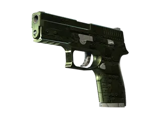 StatTrak™ P250 | Iron Clad (Minimal Wear)