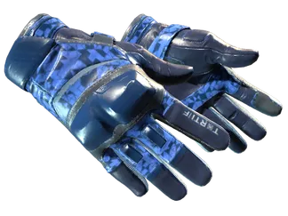 ★ Moto Gloves | Polygon (Factory New)