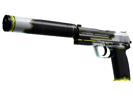 USP-S | Torque (Factory New)