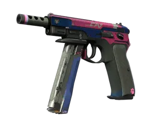 CZ75-Auto | Tacticat (Battle-Scarred)