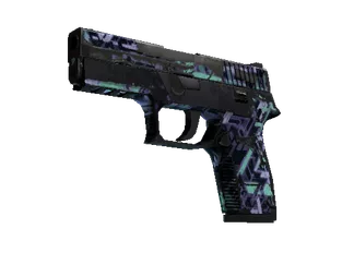 P250 | Digital Architect (Battle-Scarred)