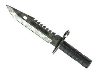 ★ M9 Bayonet | Stained