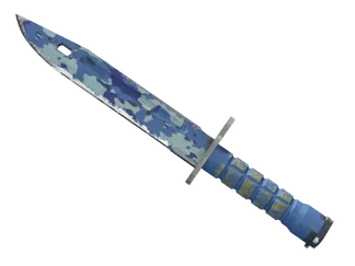 ★ Bayonet | Bright Water