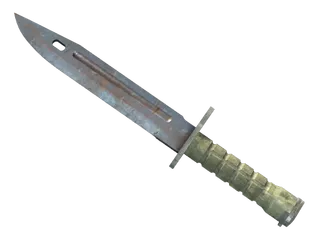 ★ Bayonet | Rust Coat