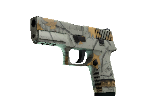 P250 | Modern Hunter