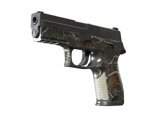 P250 | Small Game (Well-Worn)