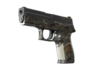 P250 | Small Game (Well-Worn)
