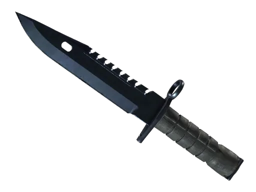 ★ M9 Bayonet | Blue Steel (Field-Tested)