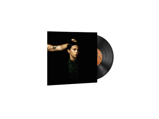 StatTrak™ Music Kit | PVRIS, Evergreen