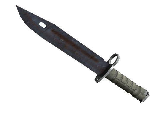 ★ Bayonet | Rust Coat