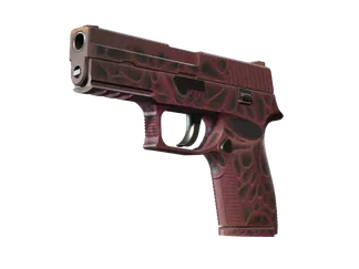 StatTrak™ P250 | Contaminant (Minimal Wear)