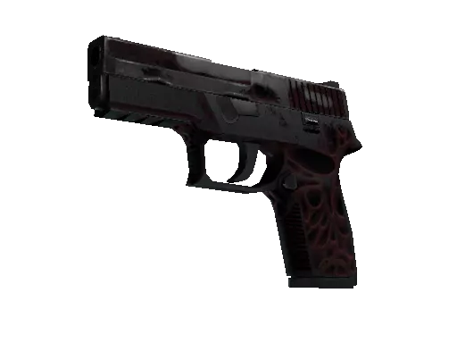 P250 | Contaminant (Battle-Scarred)