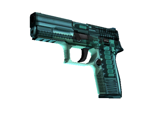 P250 | X-Ray