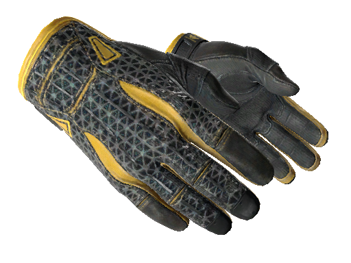 ★ Sport Gloves | Omega (Well-Worn)