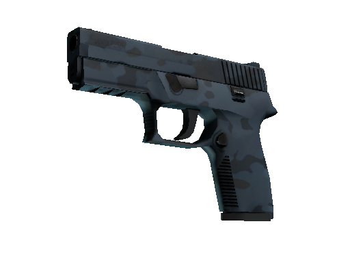 P250 | Forest Night