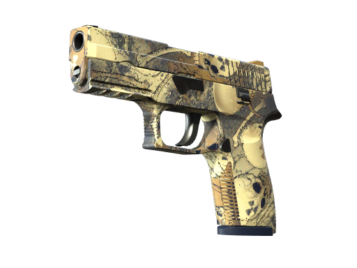 P250 | Contamination